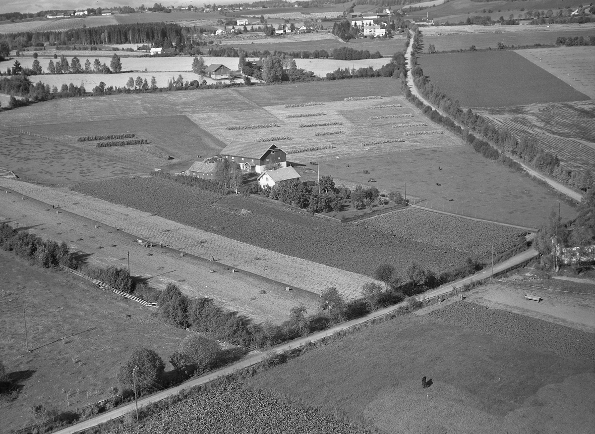 Anno Domkirkeodden, Flyfoto, gardsbruk, Grini, Nes, Hedmark.