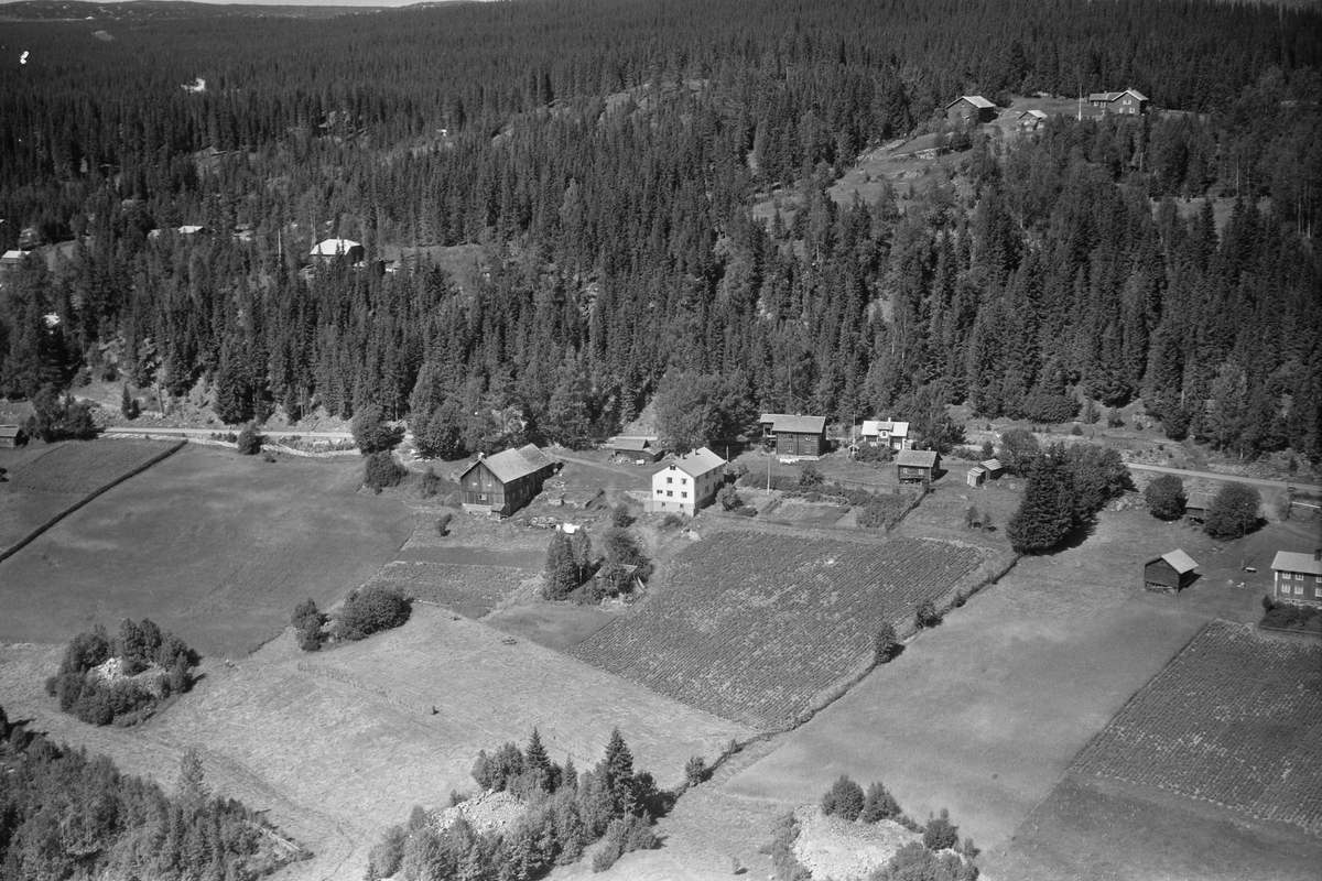 Anno Domkirkeodden, Flyfoto av ukjent gard, Mesnalia, Ringsaker.