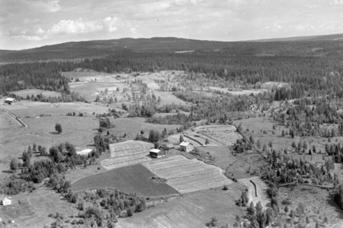 Anno Domkirkeodden, Flyfoto av Sveom, Veldre, Ringsaker.