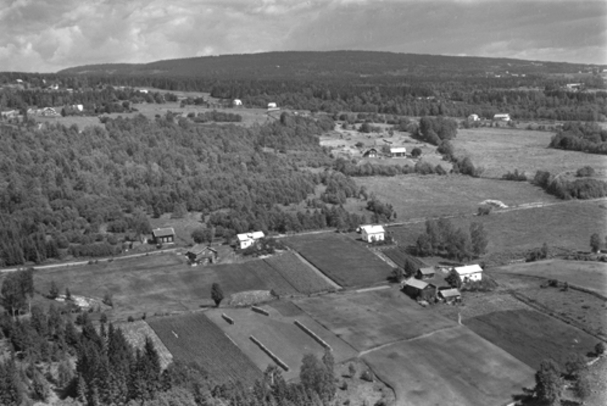 Anno Domkirkeodden, Flyfoto, Løvberg til venstre, Høgsveen øvre til høyre. Furnes, Ringsaker.