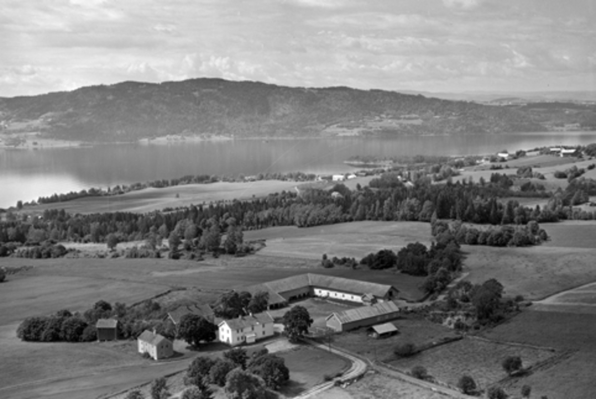 Anno Domkirkeodden, Flyfoto Mæhlum gard, Furnes. Landskap,Mjøsa, Bangsberg.