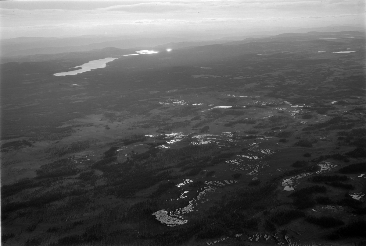 Widerøes Flyveselskap A/S, Flyfoto, Ringsaker og Veldre almenning, Mesna, Ringsaker.