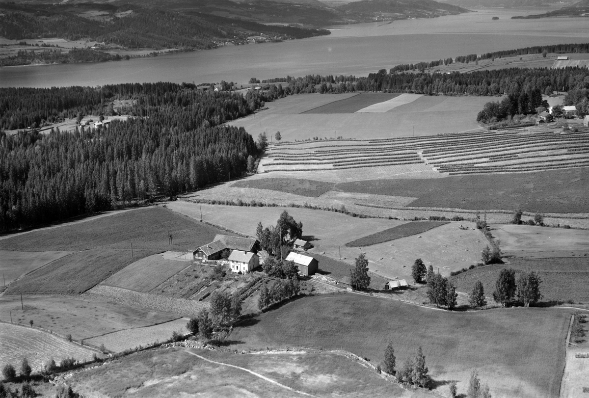 Widerøes Flyveselskap A/S, Flyfoto av Dalby lille, Gaupen, Ringsaker.