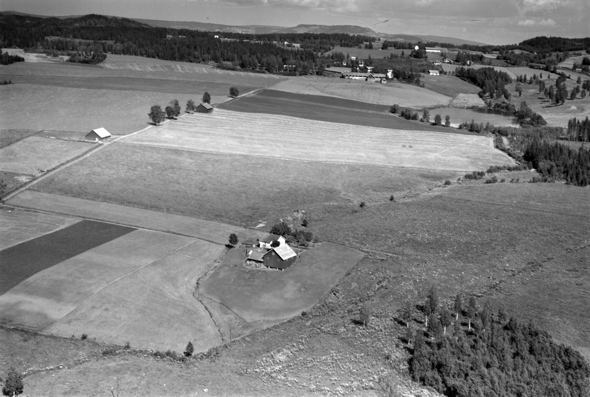 Widerøes Flyveselskap A/S, Flyfoto av Skjørengen, Gaupen, Ringsaker. Tjerne gard i bakgrunnen.