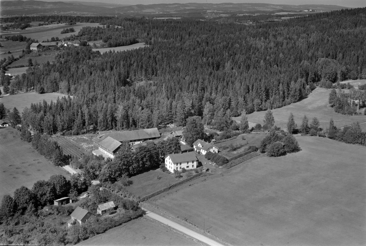 Widerøes Flyveselskap A/S, Flyfoto, gardsbruk, Senstad, Smedstua, Nes, Hedmark.