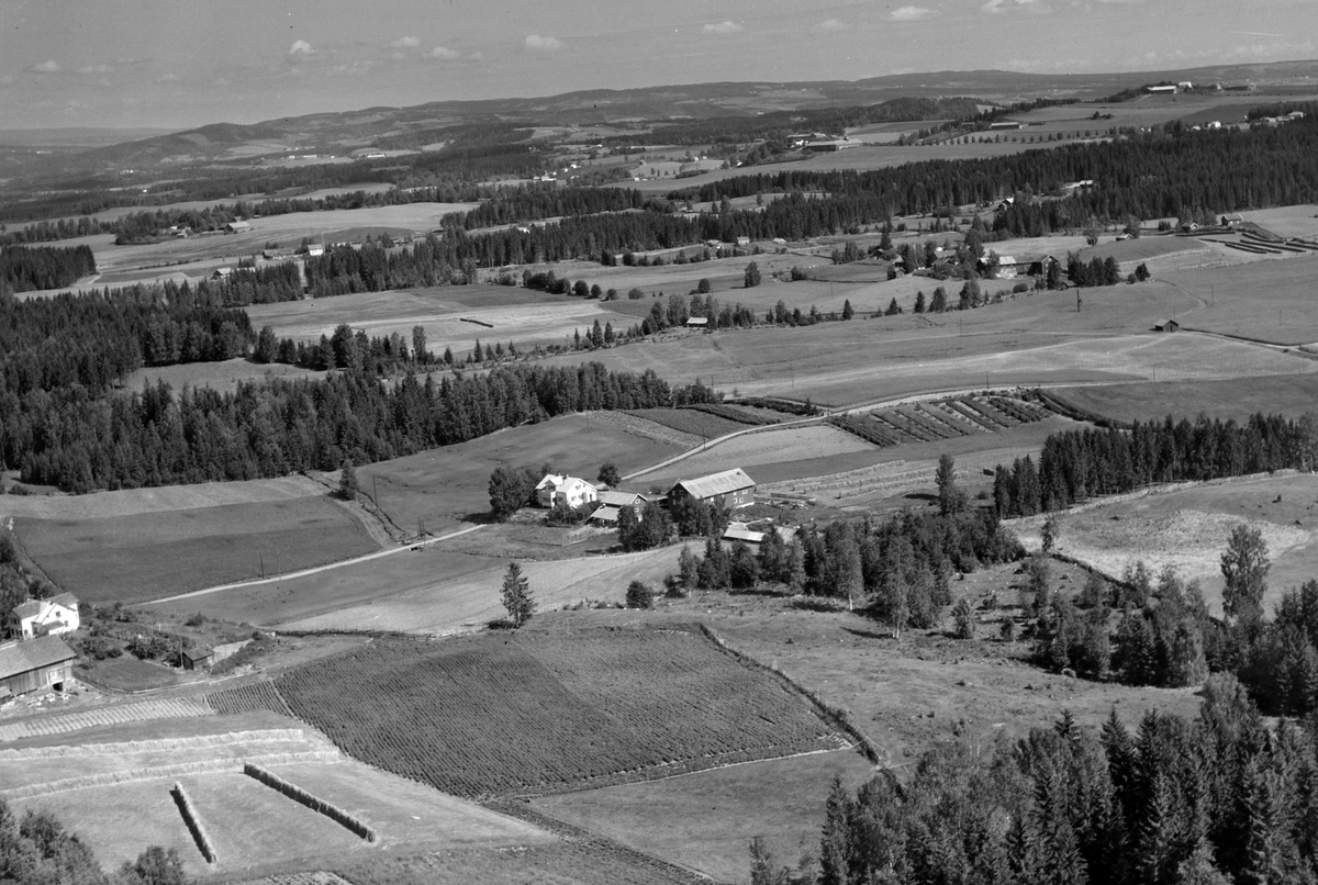 Widerøes Flyveselskap A/S, Flyfoto av Bekkelund gard, Gaupen, Ringsaker.