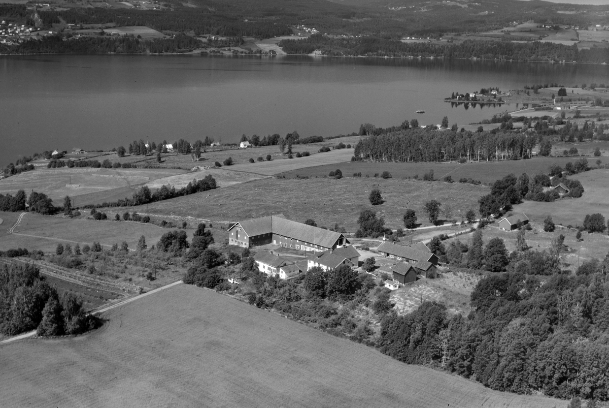 Widerøes Flyveselskap A/S, Flyfoto, gardsbruk, Mengshoel, Mjøsa, Nes, Hedmark.