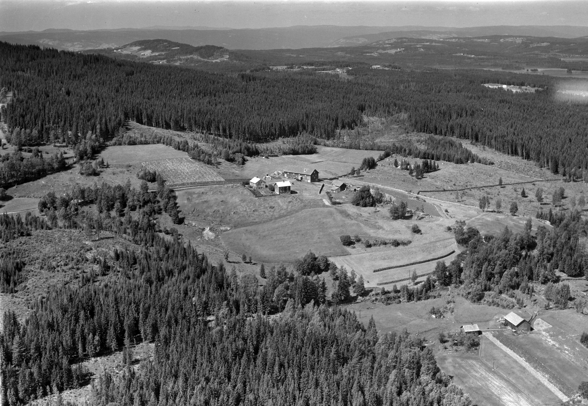 Widerøes Flyveselskap A/S, Flyfoto av Raudberget gard, Næroset, Ringsaker.