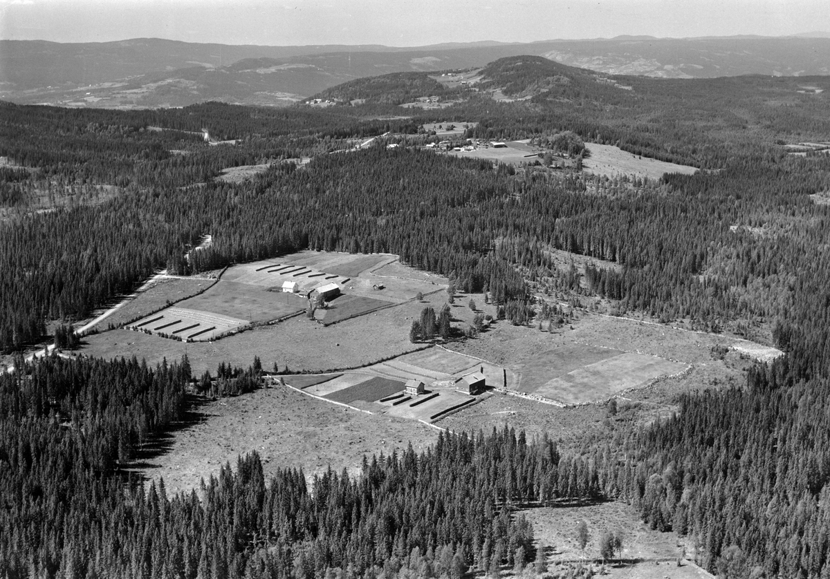Widerøes Flyveselskap A/S, Flyfoto av Skogheim gard, Næroset, Ringsaker.