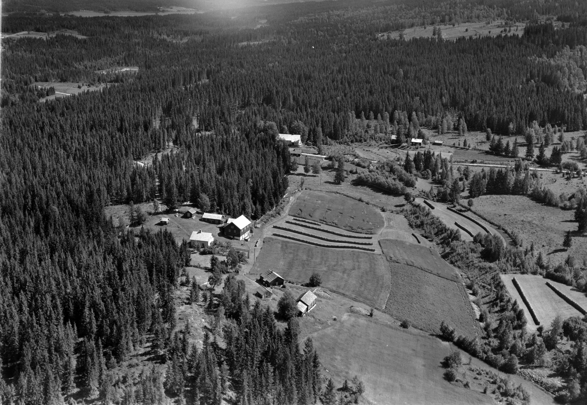 Widerøes Flyveselskap A/S, Flyfoto av ukjent gard, sannsynligvis ved Ring stasjon, Ringsaker.