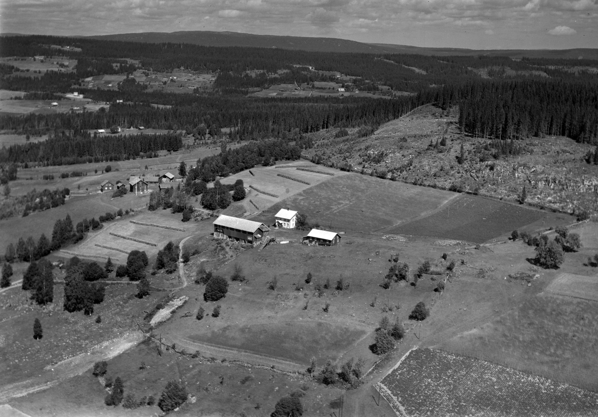 Widerøes Flyveselskap A/S, Flyfoto av gården Larsaasen, Åsmarka, Ringsaker.