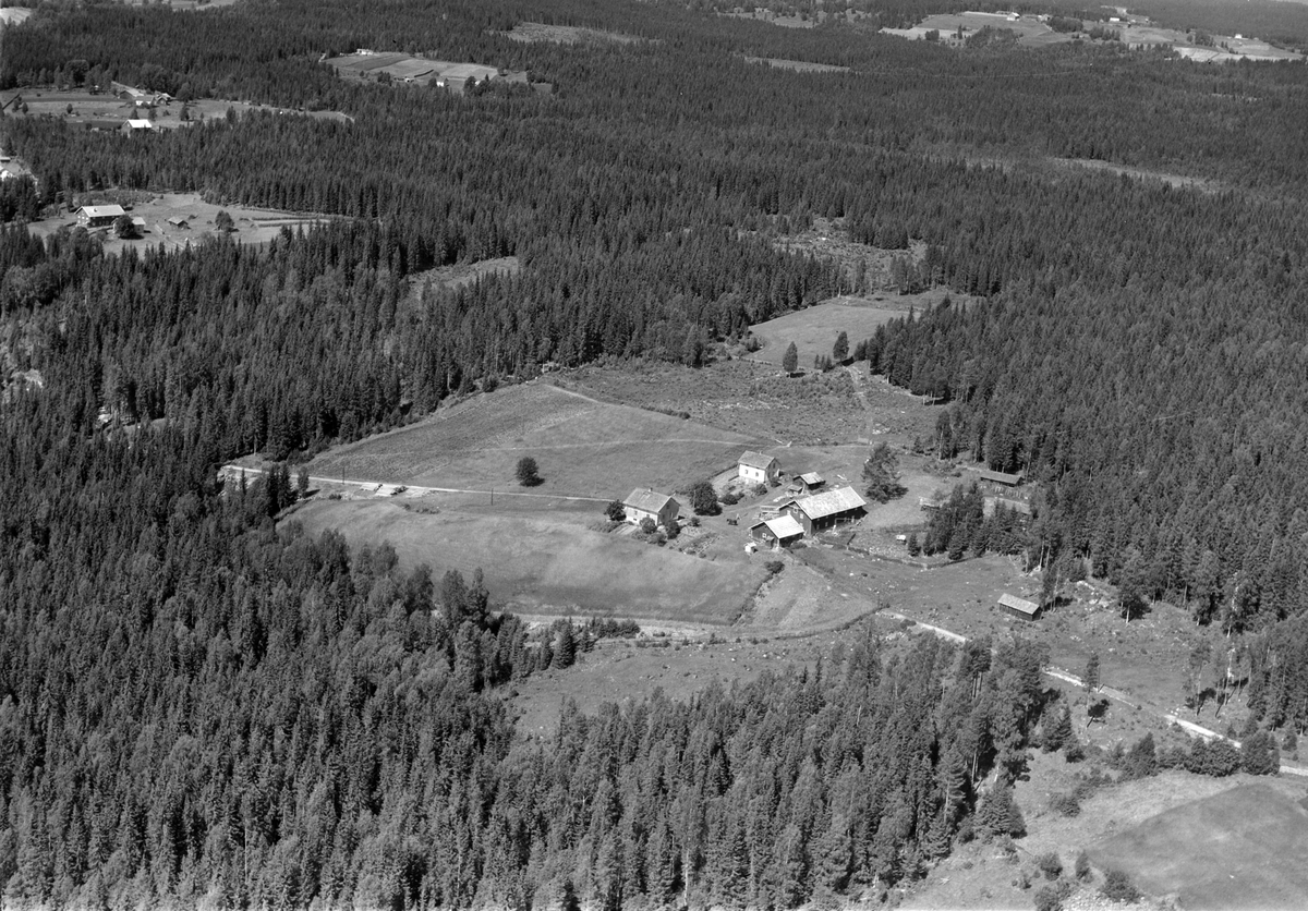 Widerøes Flyveselskap A/S, Flyfoto av Jægersborg, Næroset, Ringsaker.