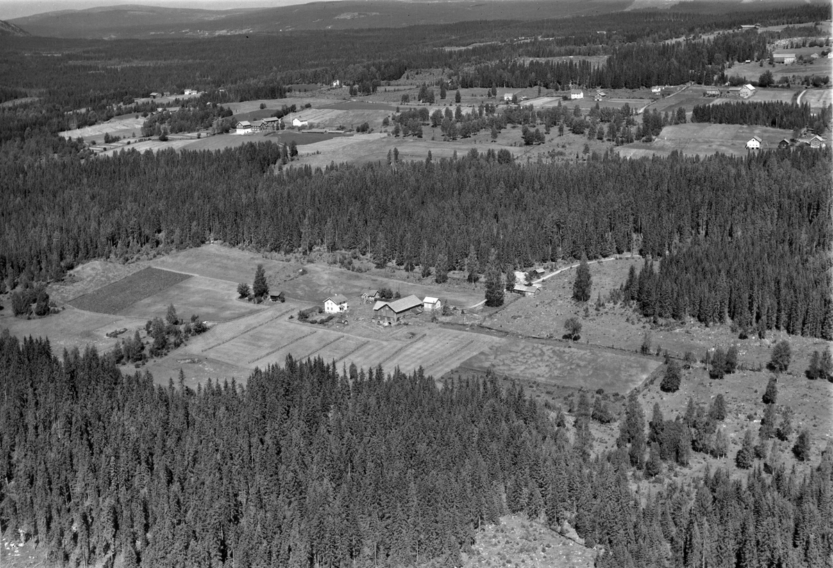 Widerøes Flyveselskap A/S, Flyfoto av Bråtåsveen, Åsmarka, Ringsaker, skoglandskap.