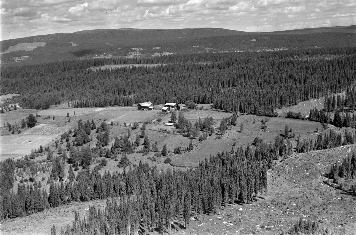 Widerøes Flyveselskap A/S, Flyfoto av Sæterlien søndre, Åsmarka, skoglandskap, Ringsaker.