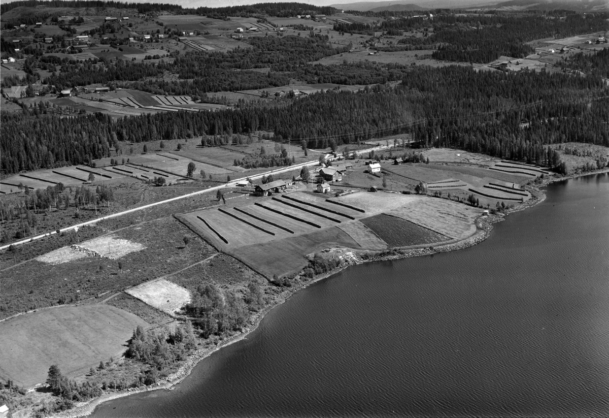 Widerøes Flyveselskap A/S, Flyfoto av Aasbrein gard, Åsmarka, Ringsaker.