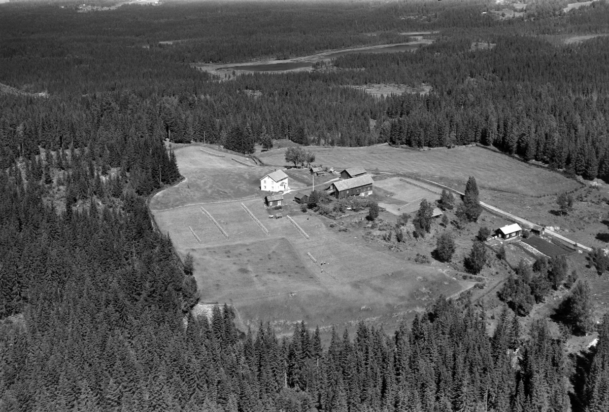 Widerøes Flyveselskap A/S, Flyfoto av ukjent gard, Brøttum, Ringsaker.