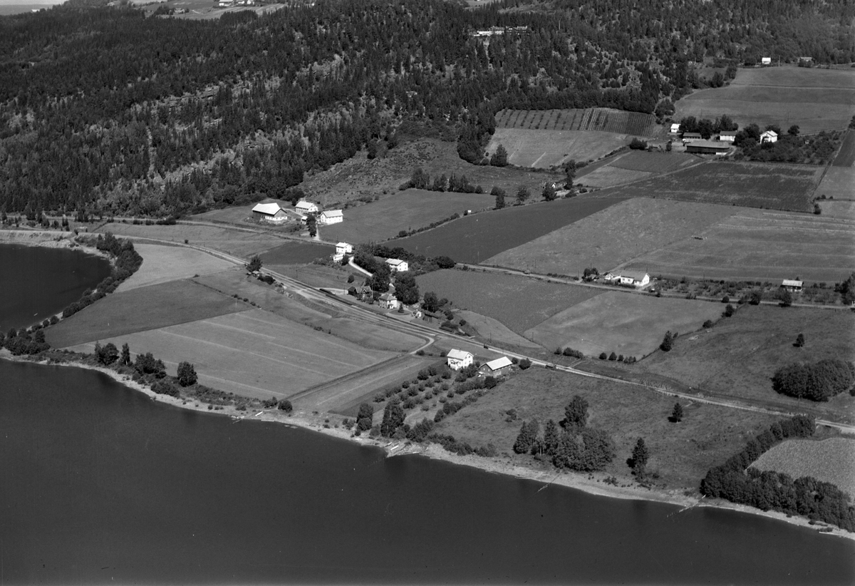 Widerøes Flyveselskap A/S, Flyfoto av bebyggelse ved gamle riksveg 50. Rise gard bak til høyre, Kjos gard oppe til høyre, Ring, Ringsaker.