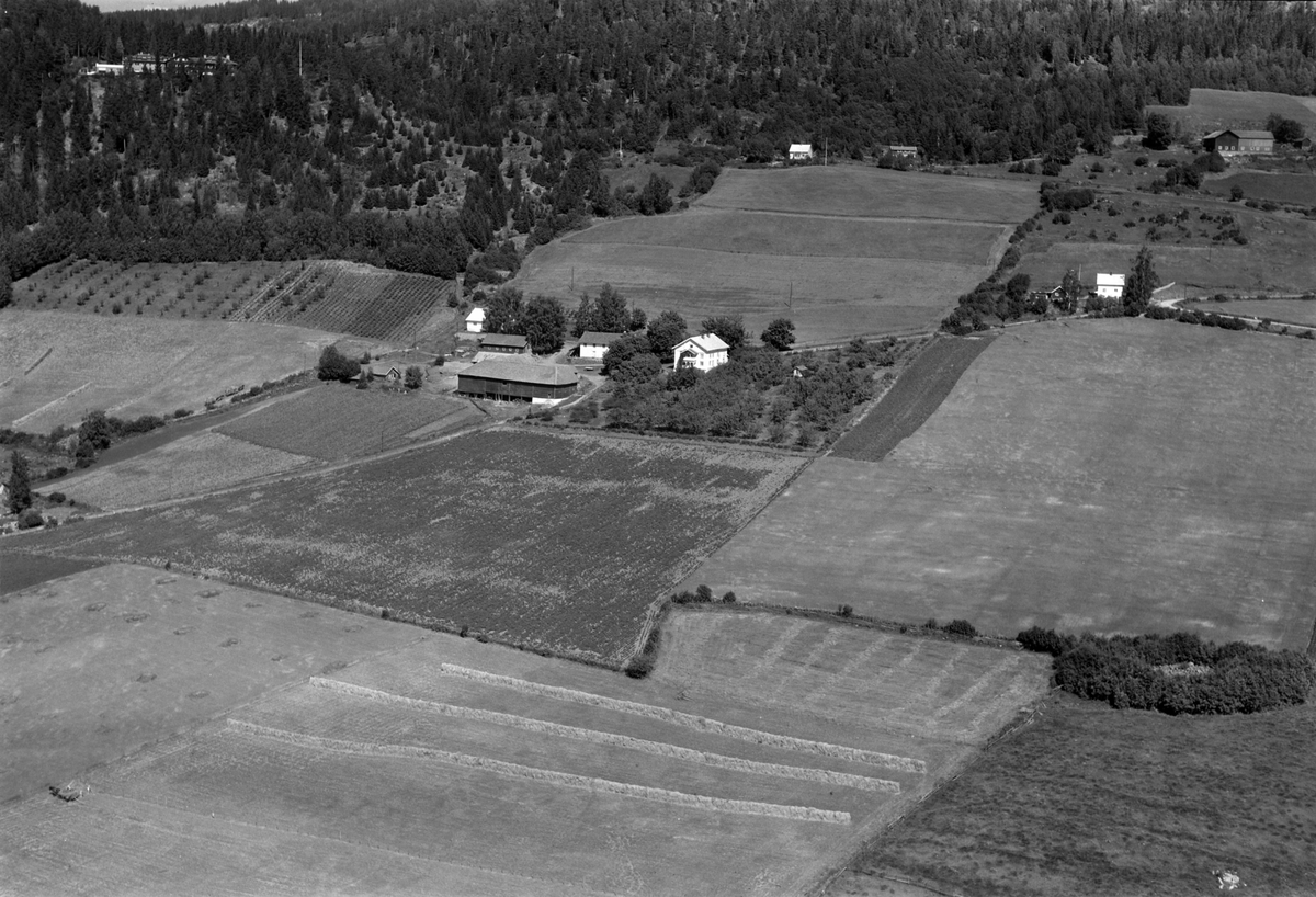 Widerøes Flyveselskap A/S, Flyfoto av Kjos gard, Ring, Ringsaker.