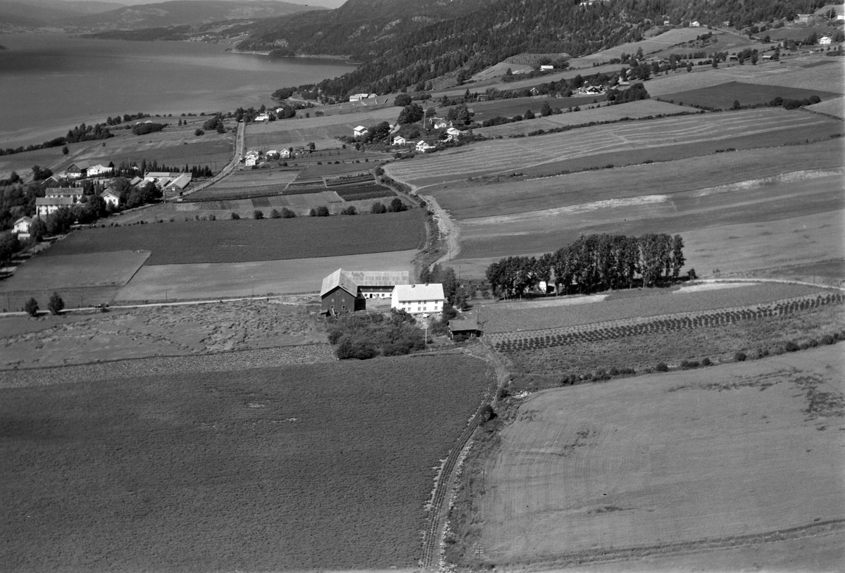Widerøes Flyveselskap A/S, Flyfoto av Høyby gard, Ring, Ringsaker.
