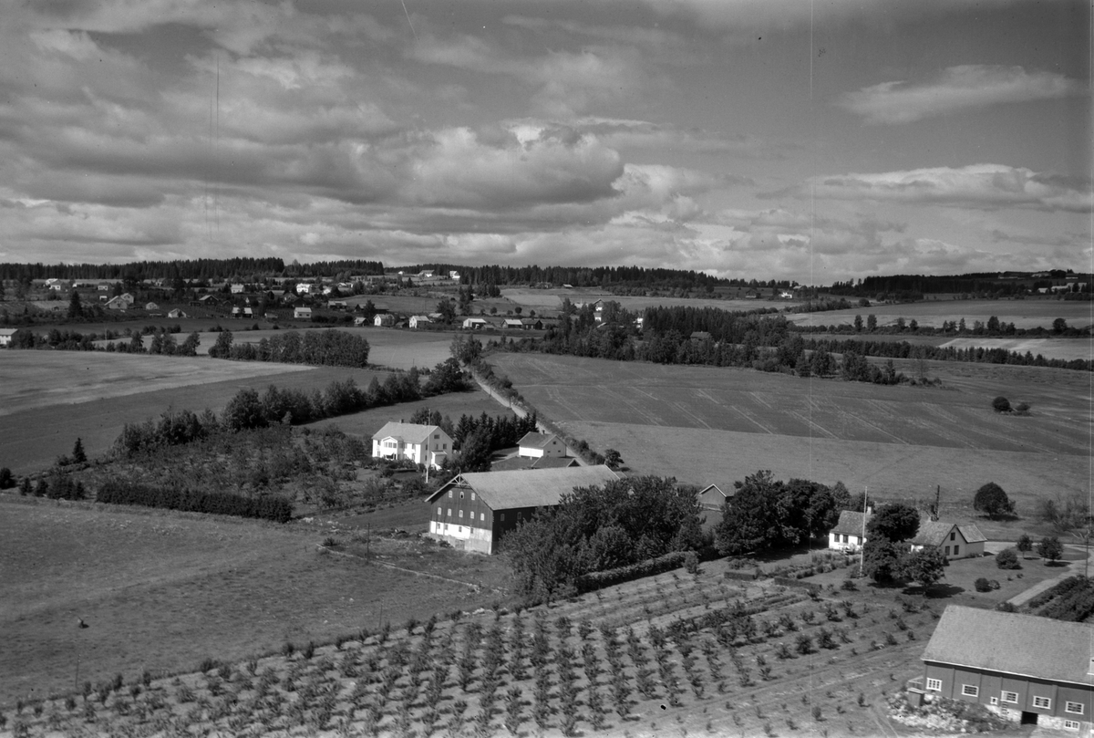 Widerøes Flyveselskap A/S, Flyfoto, gardsbruk, frukttrær, Skjelve vestre, Nes, Hedmark.