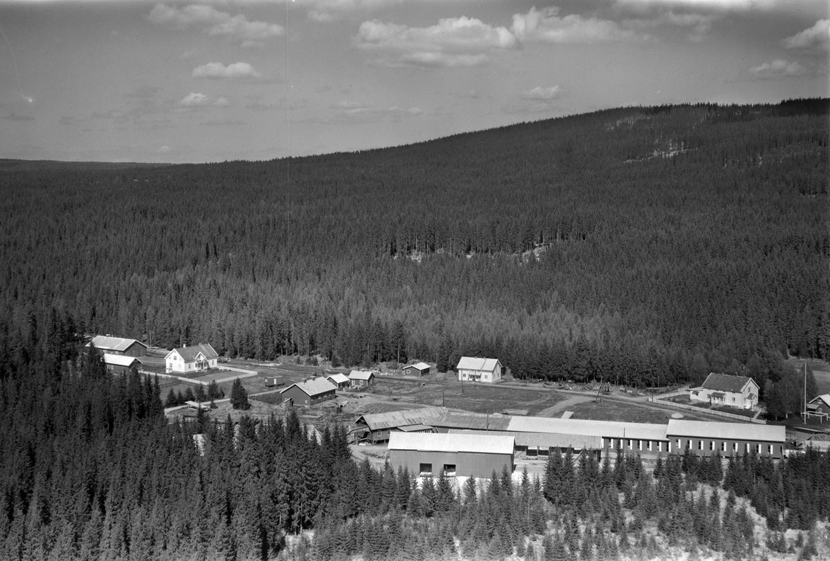 Widerøes Flyveselskap A/S, Flyfoto, skog, Kvilheim, Nybygda, Furnes Almenning.
