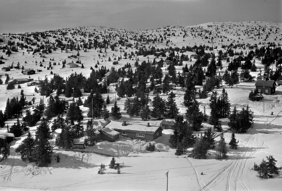 Widerøes Flyveselskap A/S, Flyfoto av bebyggelse i vinterlandskap på Sjusjøen, Ringsaker Almenning.