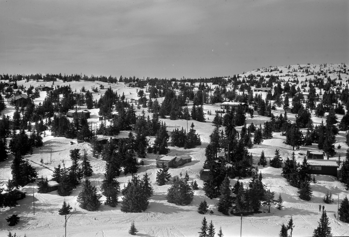Widerøes Flyveselskap A/S, Flyfoto av bebyggelse i vinterlandskap på Sjusjøen, Ringsaker Almenning.