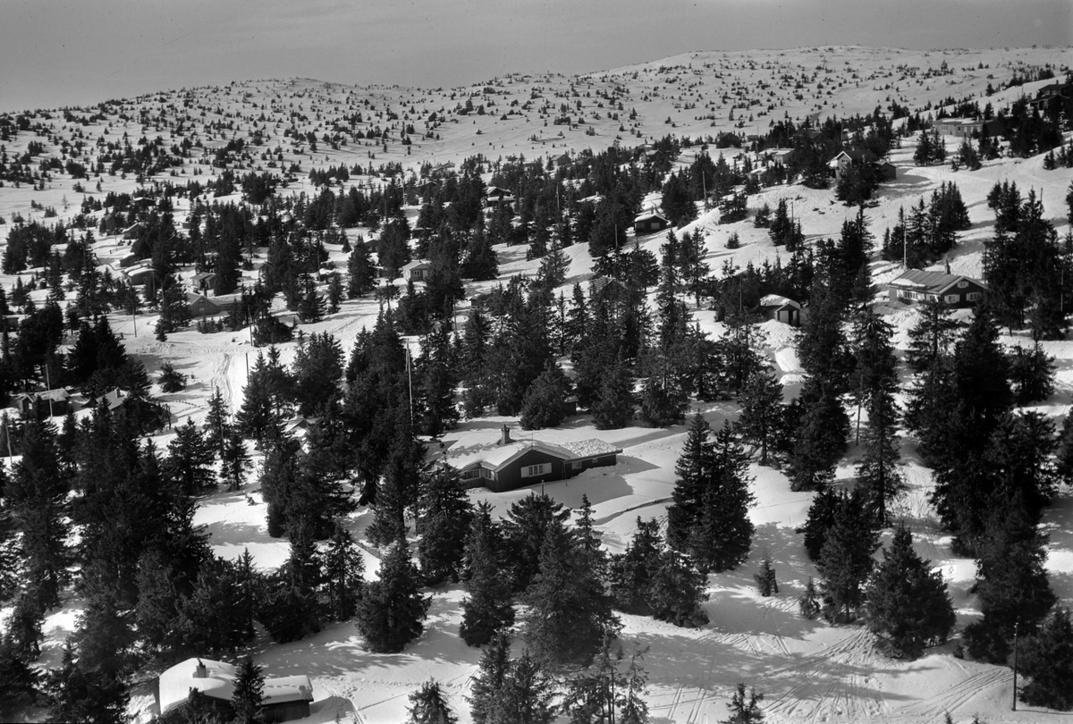 Widerøes Flyveselskap A/S, Flyfoto av bebyggelse i vinterlandskap på Sjusjøen, Ringsaker Almenning.