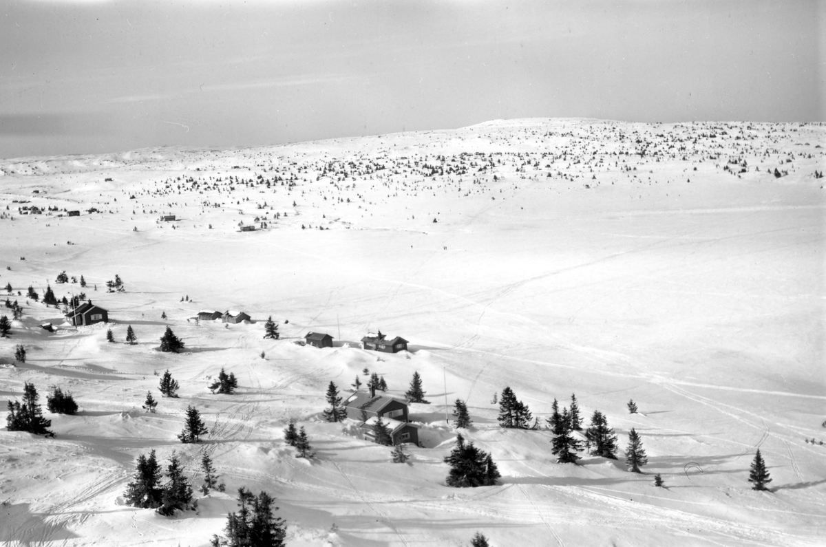 Widerøes Flyveselskap A/S, Flyfoto av bebyggelse i vinterlandskap på Sjusjøen, Ringsaker Almenning.