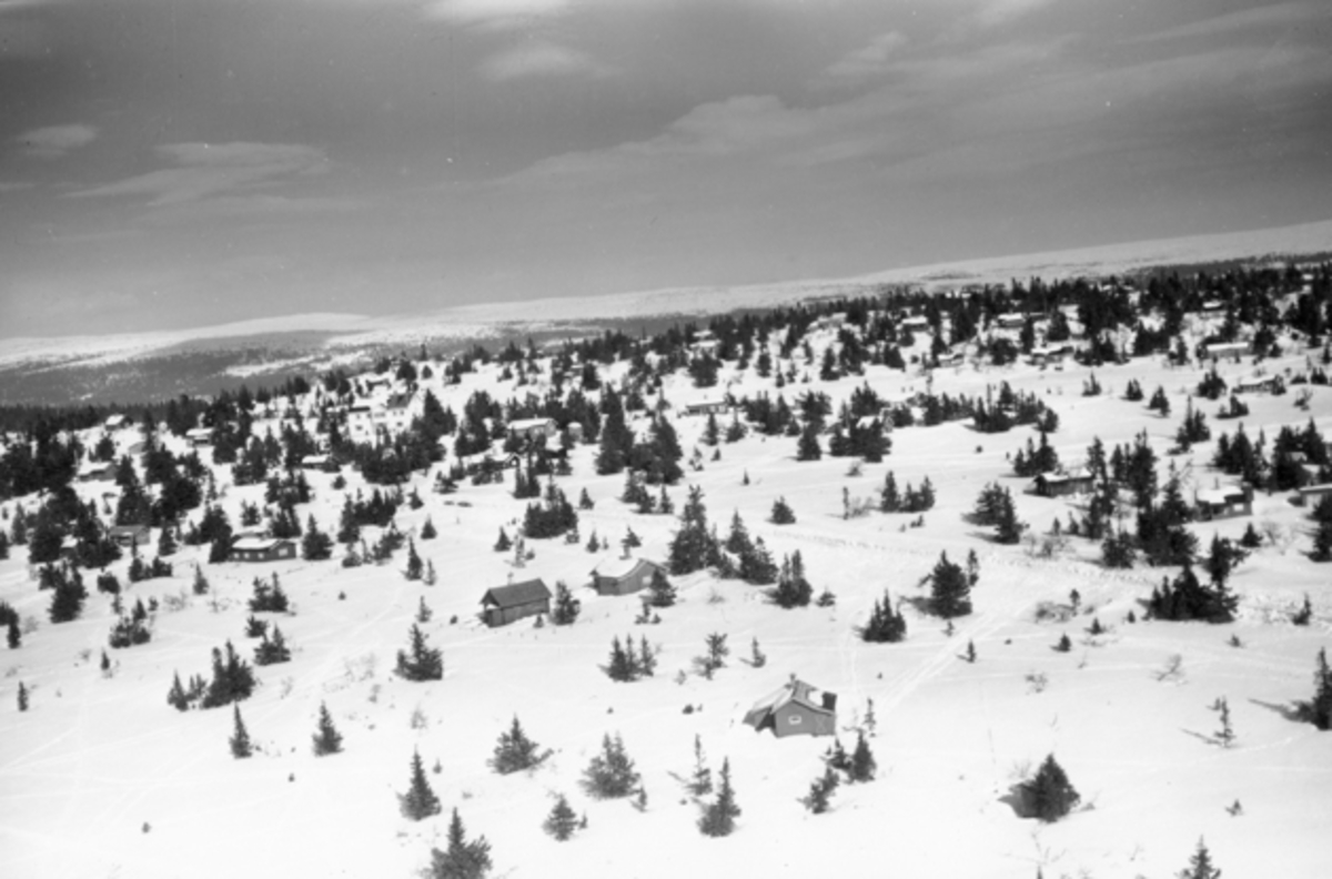 Widerøes Flyveselskap A/S, Flyfoto av bebyggelse i vinterlandskap på Ljøsheim, Ringsaker Almenning.