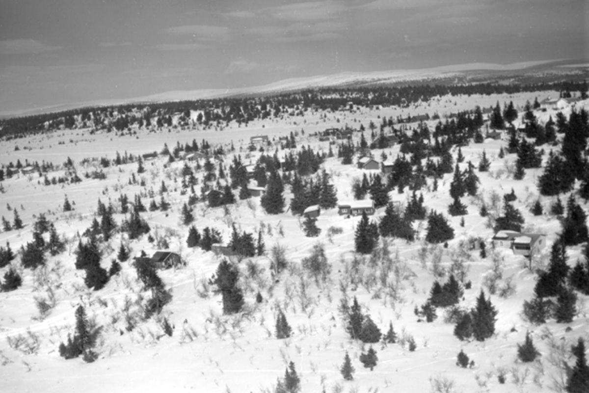 Widerøes Flyveselskap A/S, Flyfoto av bebyggelse i vinterlandskap på Ljøsheim, Ringsaker Almenning.