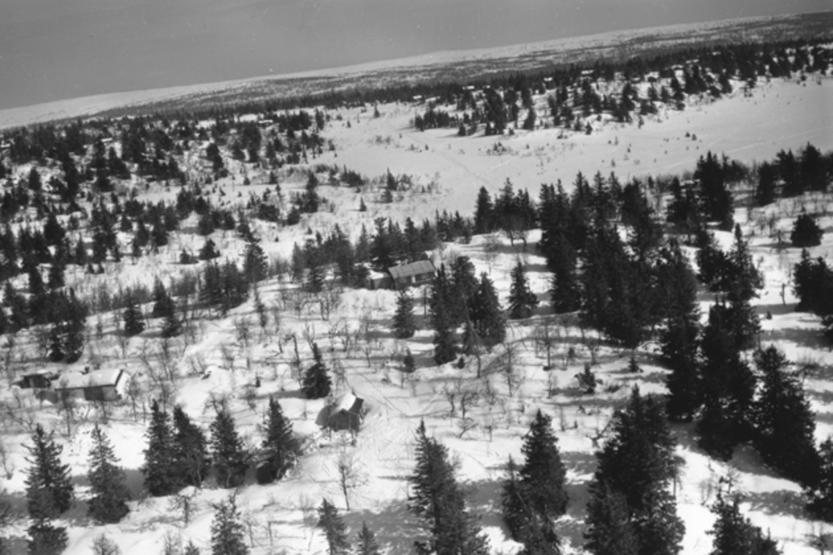 Widerøes Flyveselskap A/S, Flyfoto av bebyggelse i vinterlandskap på Ljøsheim, Ringsaker Almenning.