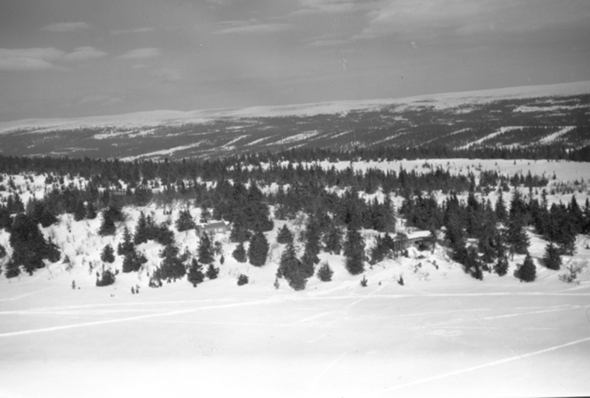 Widerøes Flyveselskap A/S, Flyfoto av bebyggelse i vinterlandskap på Ljøsheim, Ringsaker Almenning.