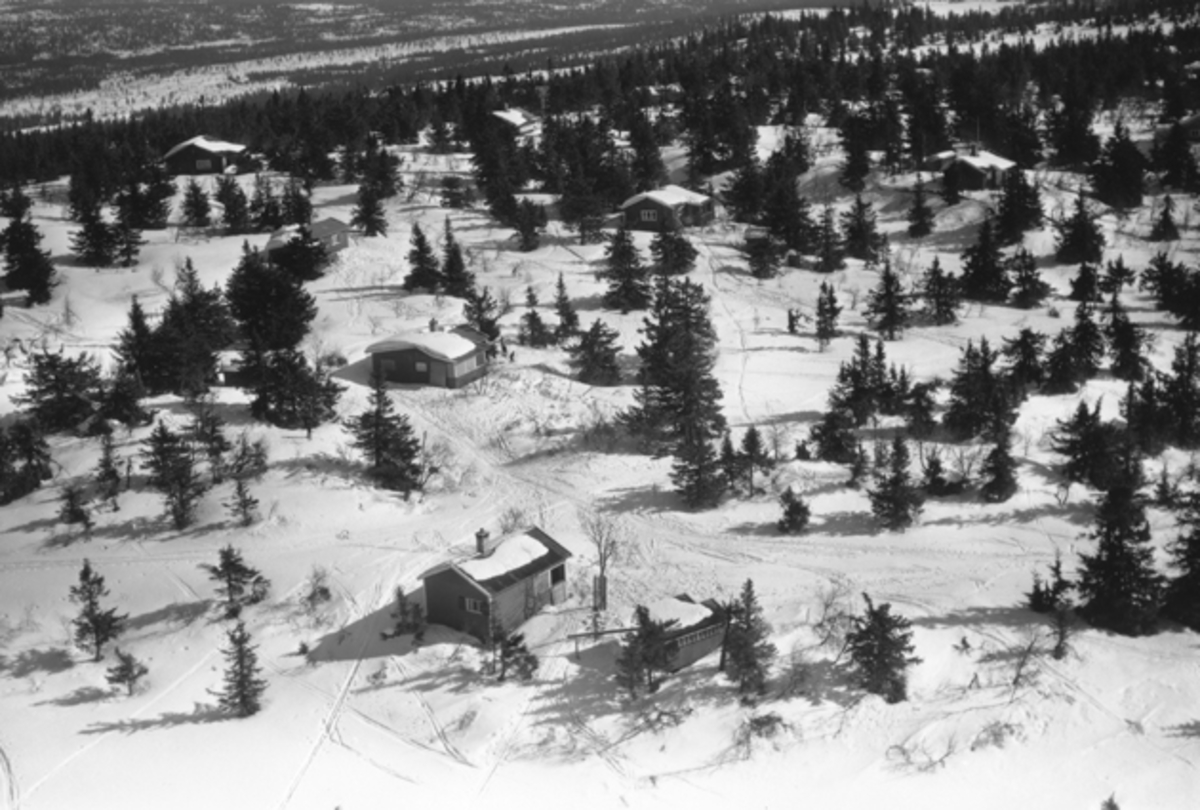 Widerøes Flyveselskap A/S, Flyfoto av bebyggelse i vinterlandskap på Ljøsheim, Ringsaker Almenning.