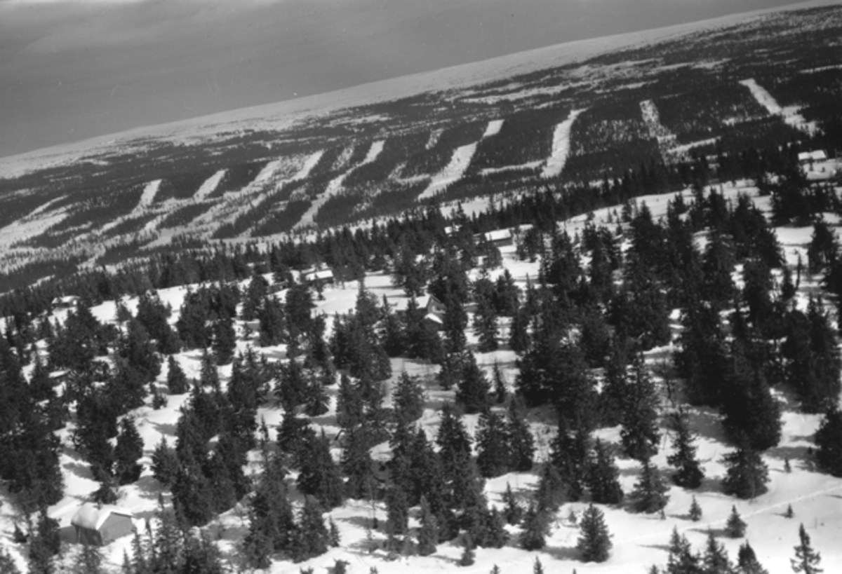 Widerøes Flyveselskap A/S, Flyfoto av bebyggelse i vinterlandskap på Ljøsheim, Ringsaker Almenning.