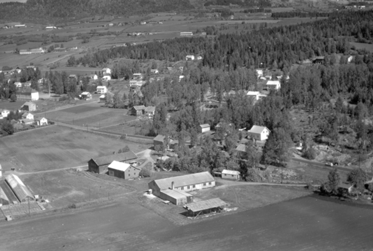 Widerøes Flyveselskap A/S, Flyfoto av Hauger og Aardal gartneri, Storgata, Moelv, Ringsaker.