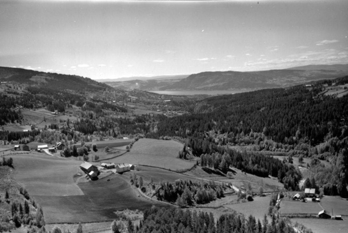Widerøes Flyveselskap A/S, Flyfoto av gårder, fra venstre Mauset søndre, Mauset nordre og Tajesveen. Ringsaker.