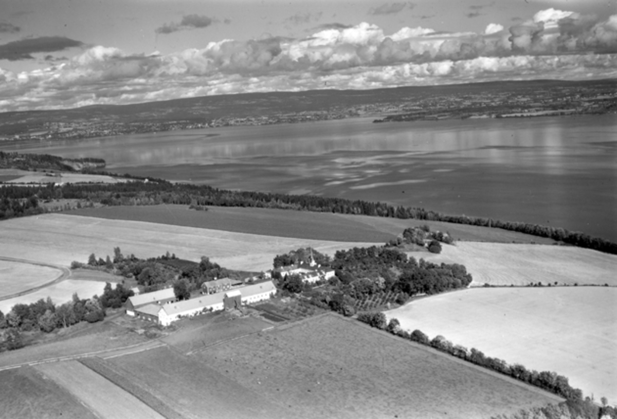 Widerøes Flyveselskap A/S, Hovinsholm gård, Helgøya i vakkert åkerlandskap med Mjøsa og Hamar i bakgrunnen. Flyfoto.