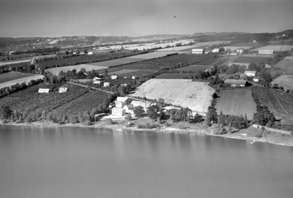 Widerøes Flyveselskap A/S, Flyfoto, Tingnes, Nes Meieri, Mjøsa, Nes, Hedmark.