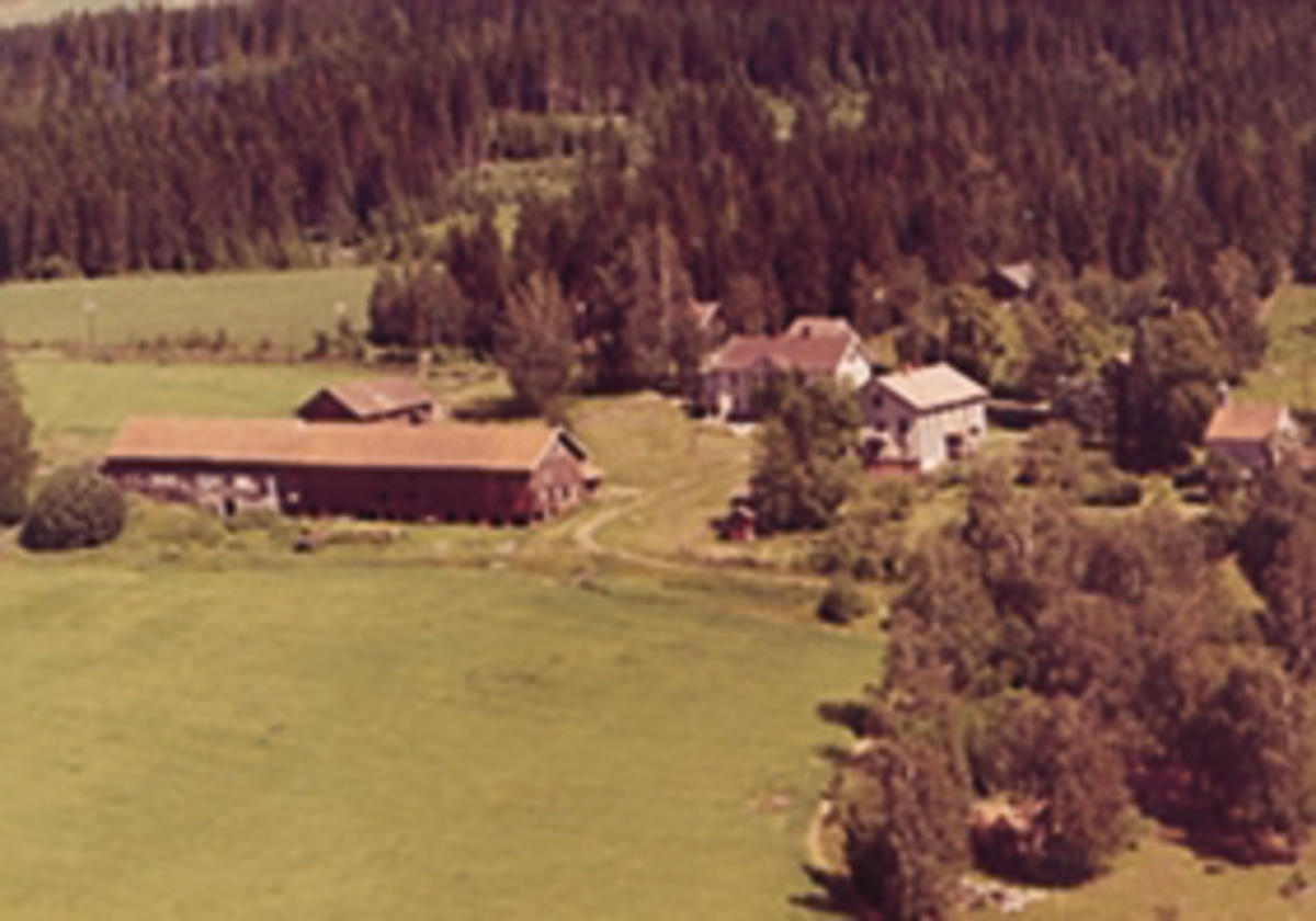 Widerøes Flyveselskap A/S, Flyfoto av Skoug gard, Bergseng, Ringsaker.