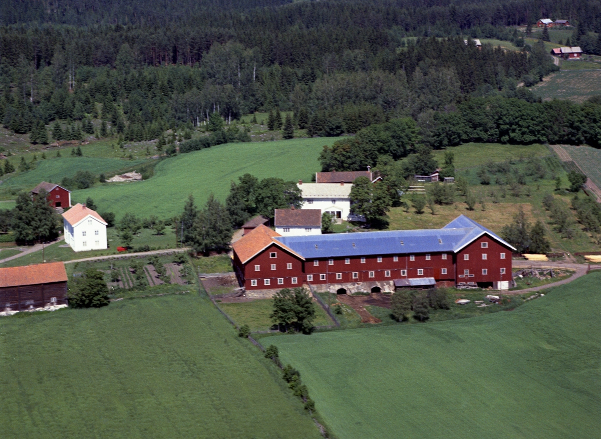 Widerøes Flyveselskap A/S, Flyfoto av Doglo østre, Furnes, Ringsaker.