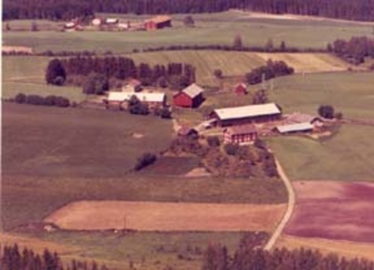 Widerøes Flyveselskap A/S, Flyfoto av Halset gard, Furnes, Ringsaker.