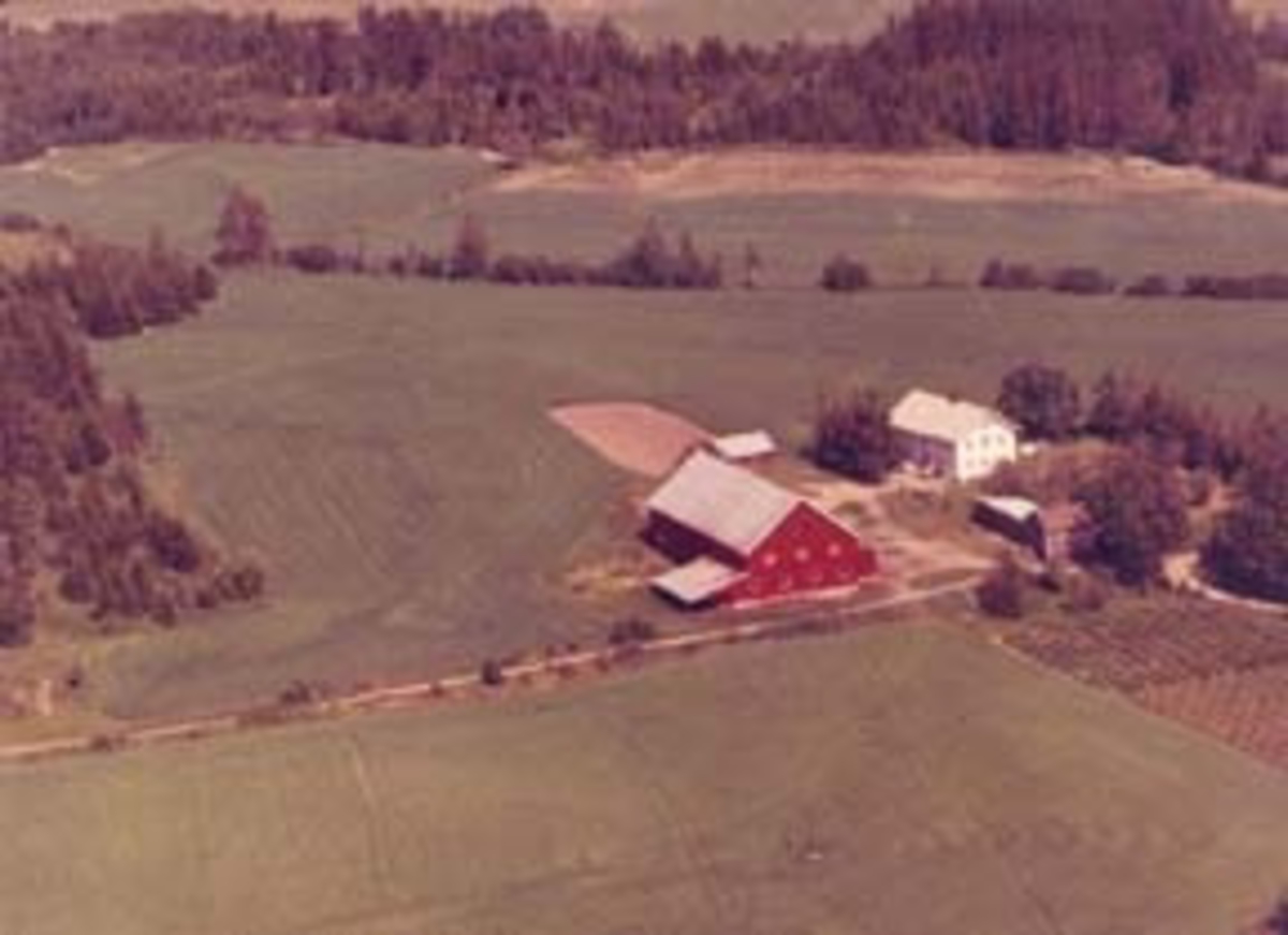Widerøes Flyveselskap A/S, Flyfoto av Skarderud gard, Jessnes, Ringsaker.