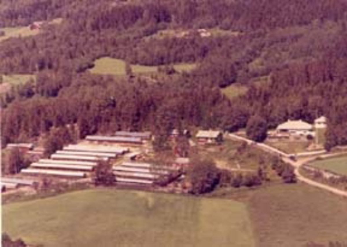 Widerøes Flyveselskap A/S, Flyfoto av Bjørkheim, Furnes, Ringsaker.