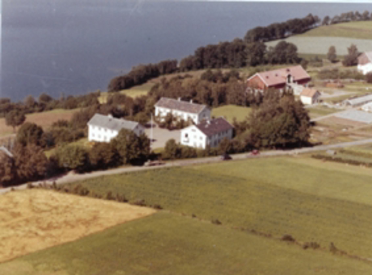 Widerøes Flyveselskap A/S, Flyfoto av Statens Hagebruksskole Vea, Ring, Ringsaker.