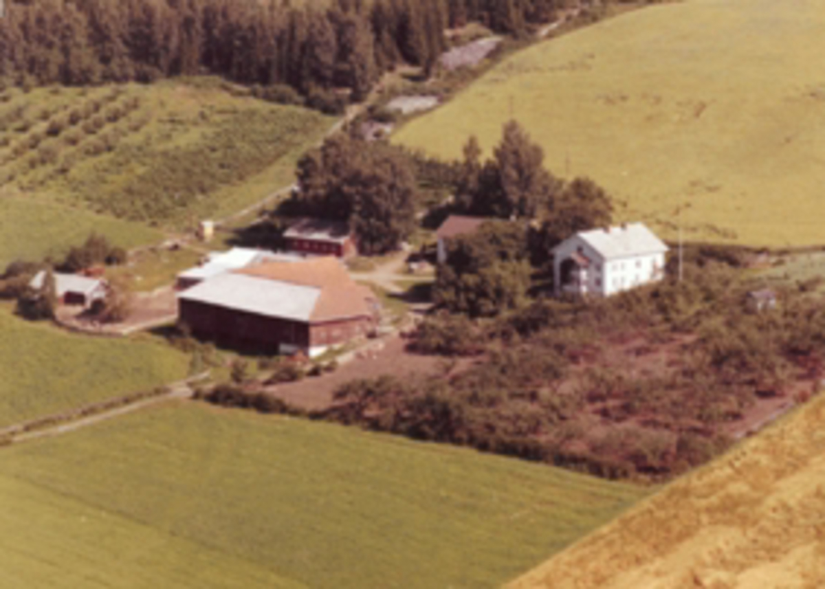 Widerøes Flyveselskap A/S, Flyfoto av Kjos nedre, Ring, Ringsaker.