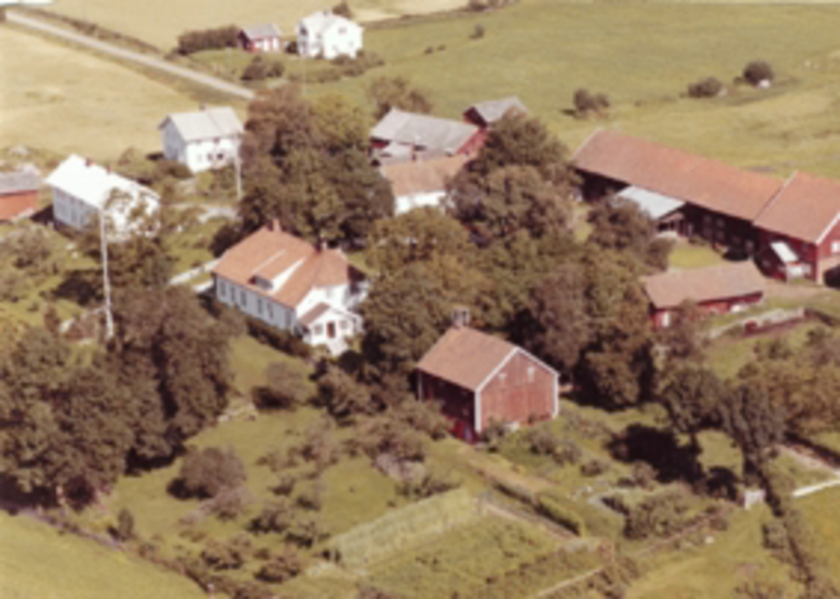 Widerøes Flyveselskap A/S, Flyfoto av Sørby gard, Ring, Ringsaker.