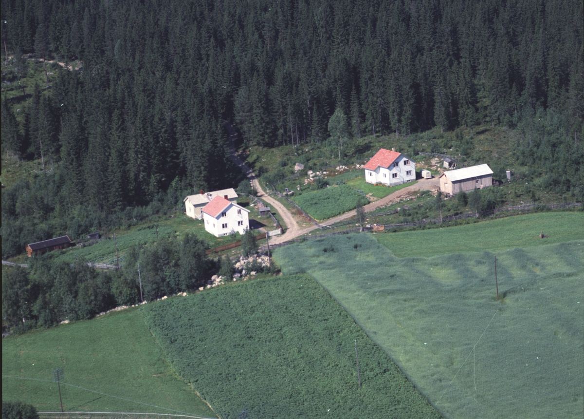 Anno Domkirkeodden, Flyfoto av Steinsli, Næroset, Ringsaker.