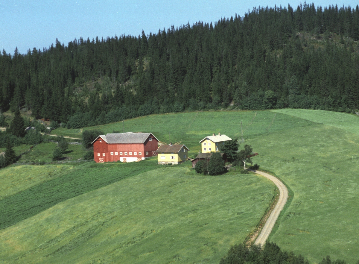 Widerøes Flyveselskap A/S, Flyfoto av Kinne gard, Næroset, Ringsaker.