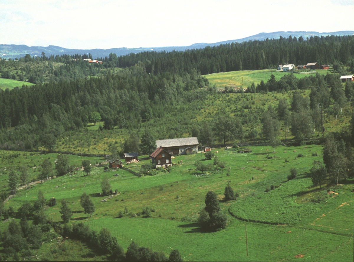 Widerøes Flyveselskap A/S, Flyfoto, ukjent gard, Brøttum, Ringsaker.